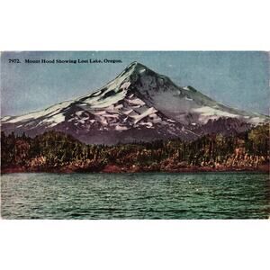 Mount Hood Lost Lake Oregon‎ Vintage Postcard Elliott Glacier Scenic View